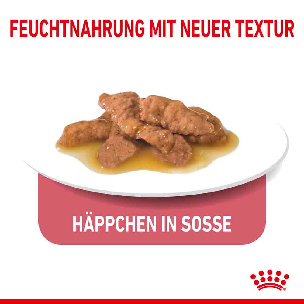 Royal Canin Indoor Sterilised in Soße Nassfutter für Wohnungskatzen_4