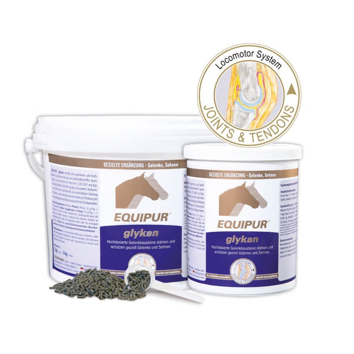 Equipur glykan_0