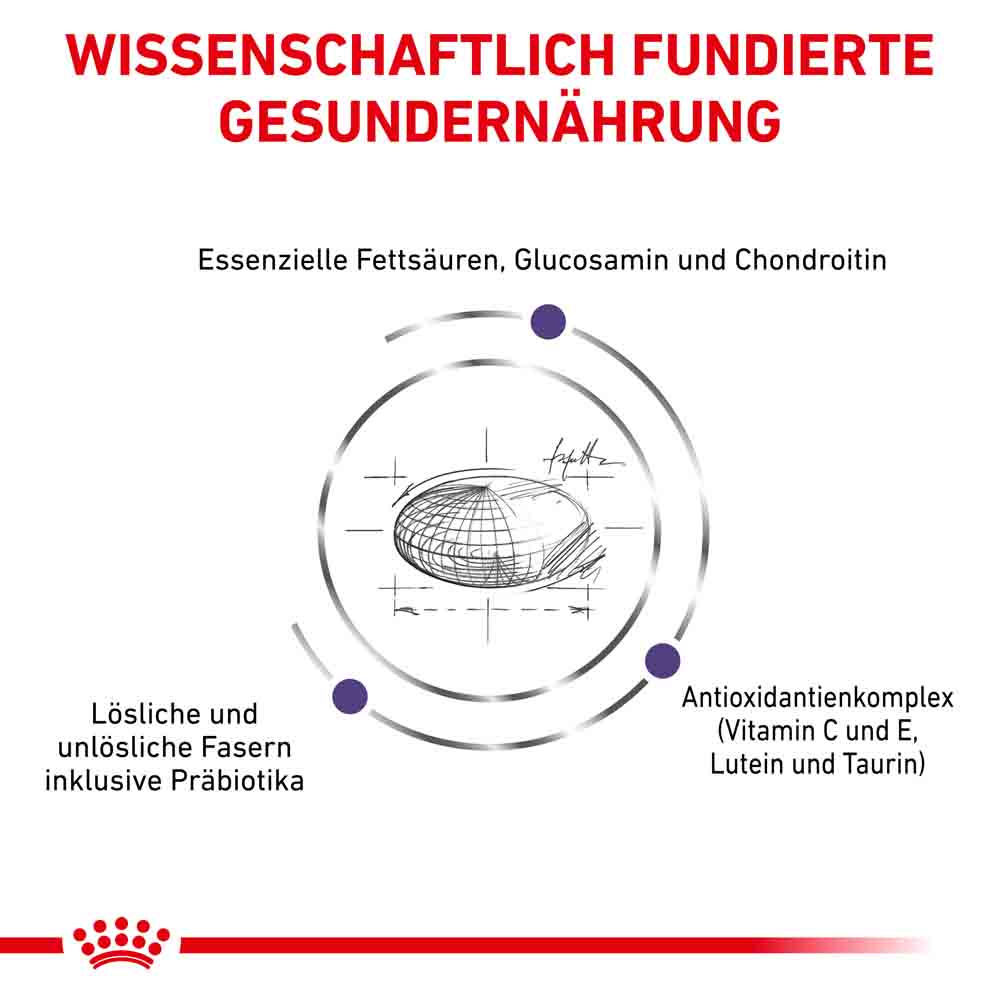 Royal Canin Expert Adult Large Dogs Trockenfutter für Hunde_3