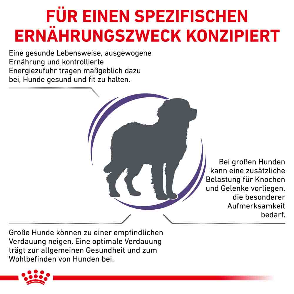 Royal Canin Expert Adult Large Dogs Trockenfutter für Hunde_2
