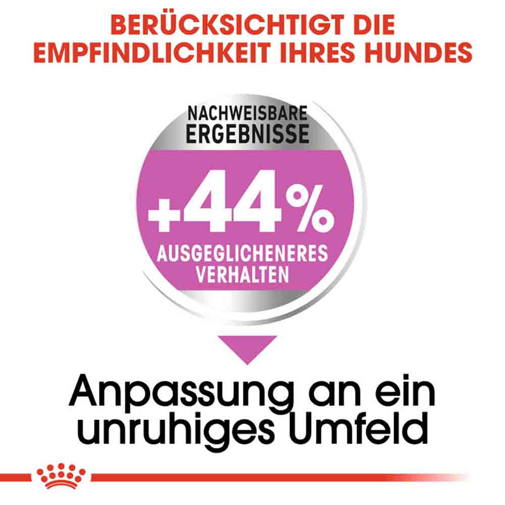 Royal Canin Relax Care Mini Trockenfutter für kleine Hunde in unruhigem Umfeld_3