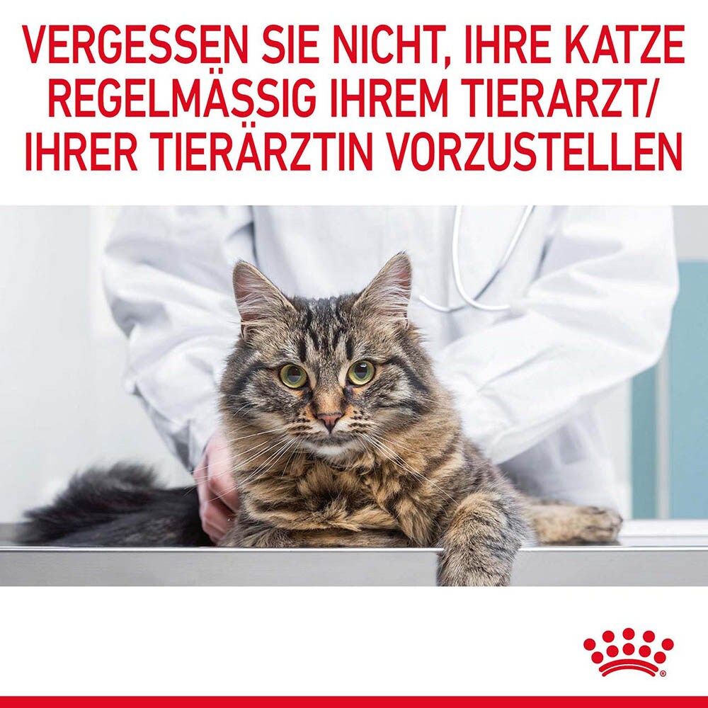 Royal Canin Hairball Care Nassfutter in Soße gegen Haarballenbildung_7