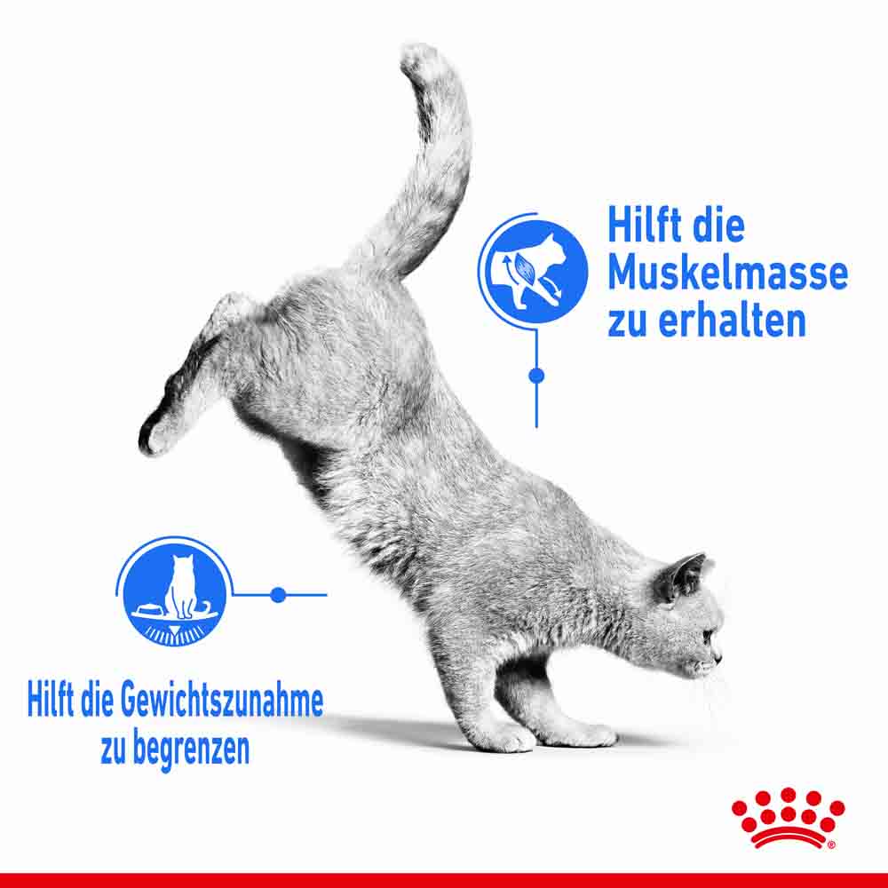 Royal Canin Light Weight Care Feuchtnahrung für zu Übergewicht neigenden Katzen_2