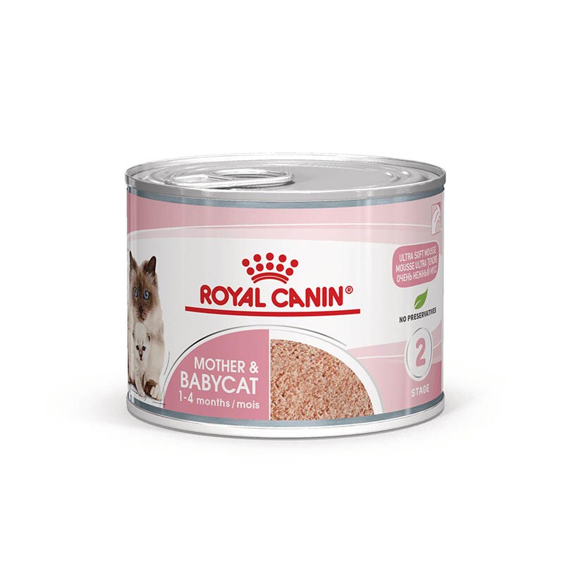 Royal Canin Mother & Babycat Mousse für tragende Katzen und Kitten_1