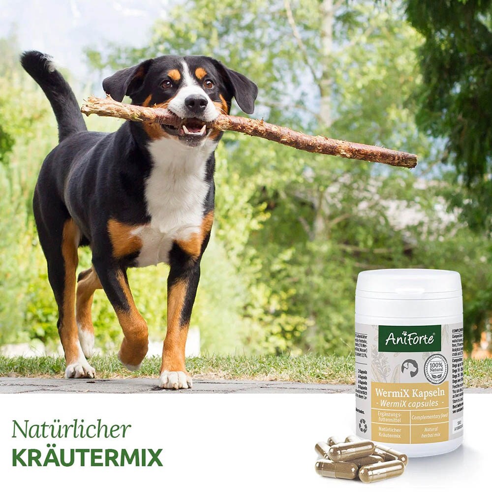 AniForte WermiX Kapseln für Hunde_2