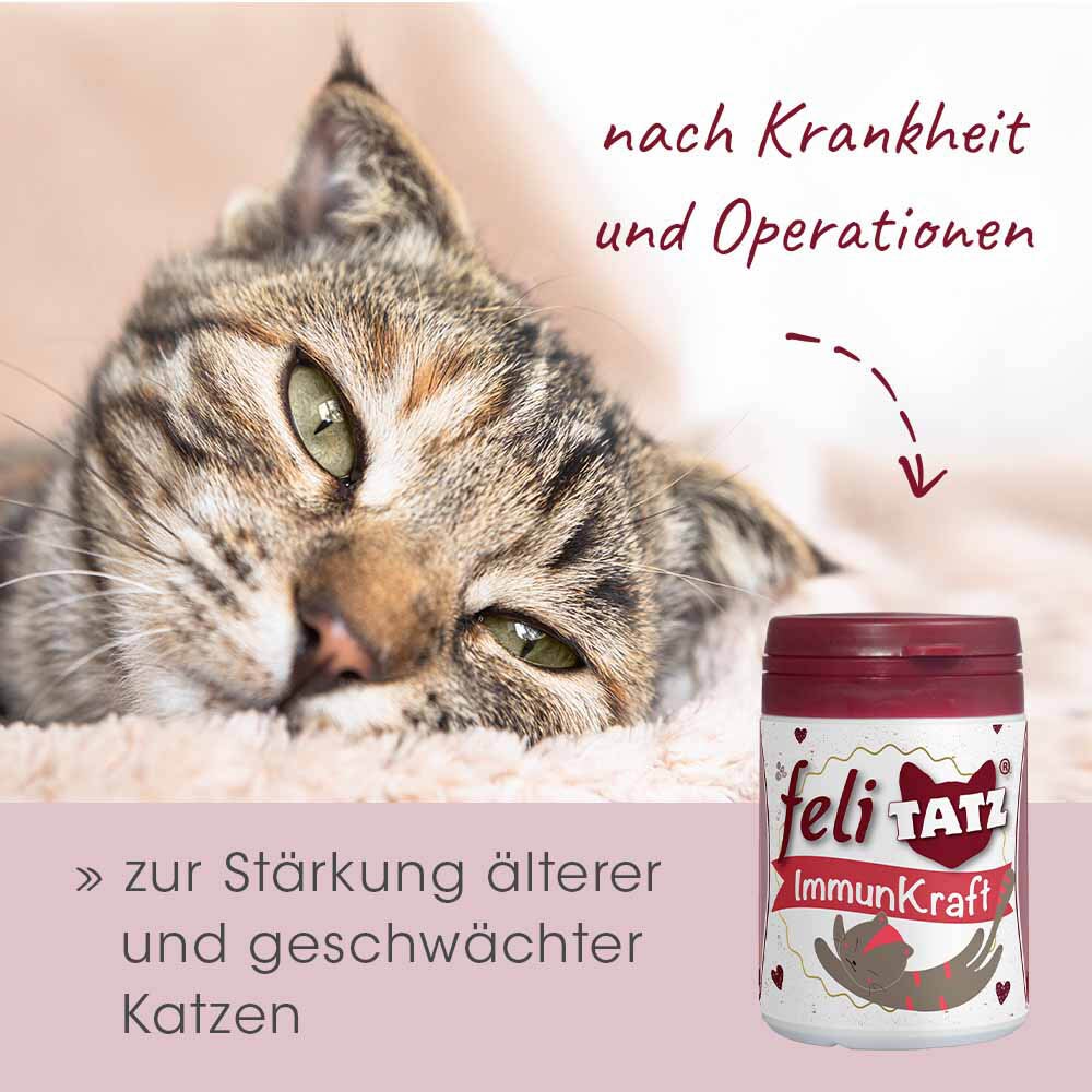 cdVet feliTATZ ImmunKraft_6