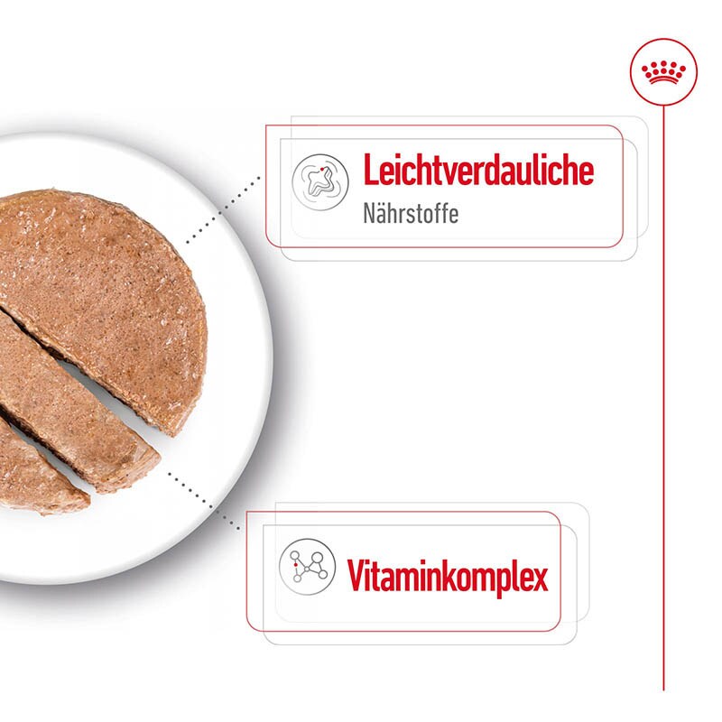 Royal Canin Mini Adult Feuchtnahrung als Mousse (>10. Lebensmonat)_2