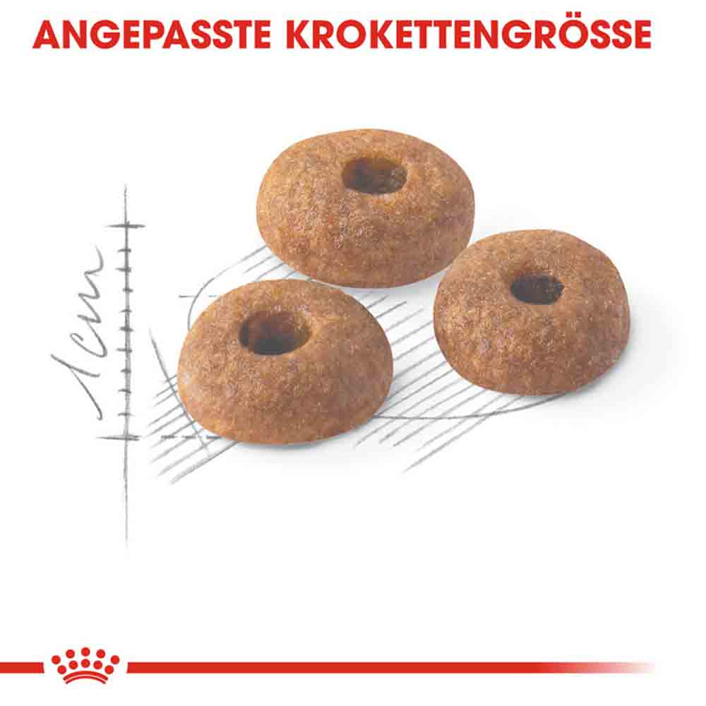 Royal Canin Fit Trockenfutter für aktive Katzen_3