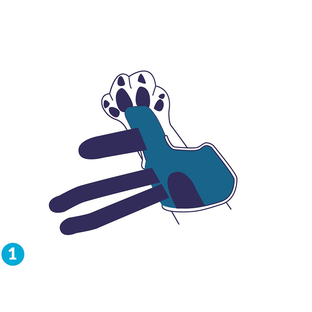 Balto Rehab-Orthese BT Splint _3