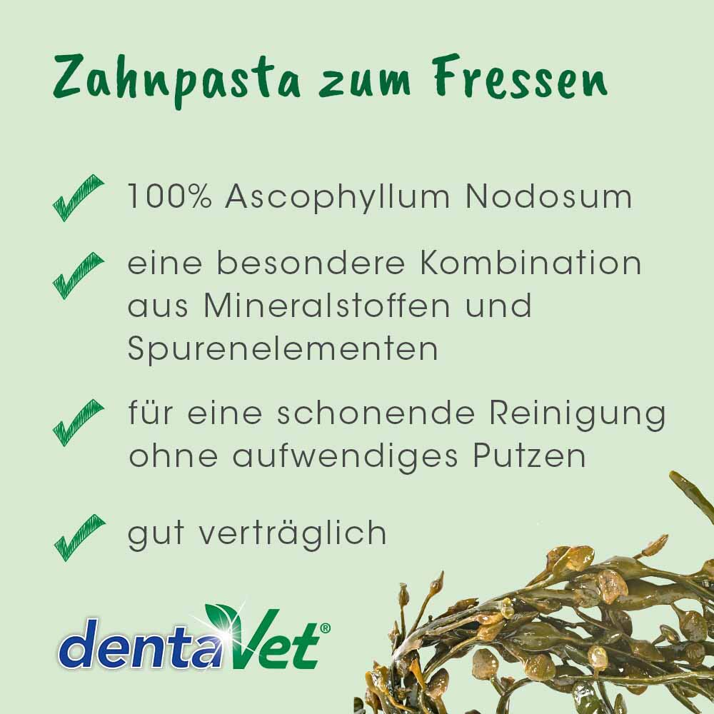 cdVet dentaVet anti-Plaque_4