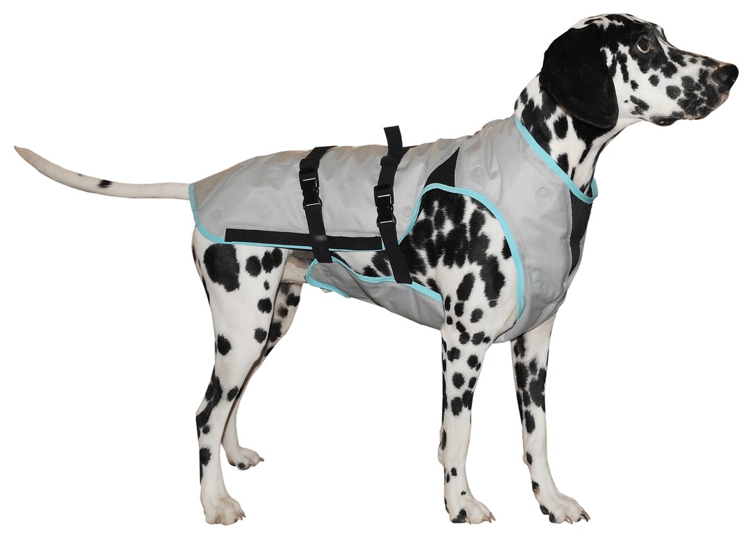 Suitical Kühlweste für Hunde_0