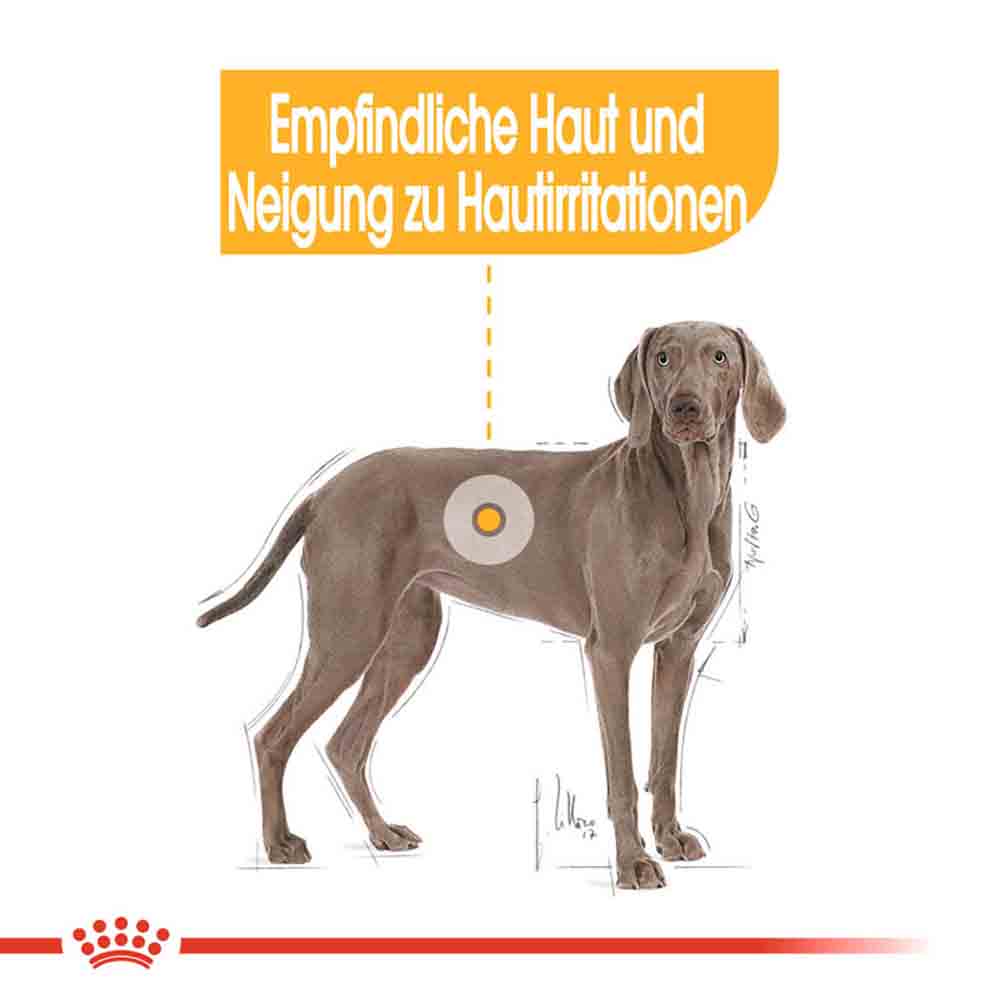 Royal Canin Dermacomfort Maxi Trockenfutter für große Hunde mit empfindlicher Haut_2