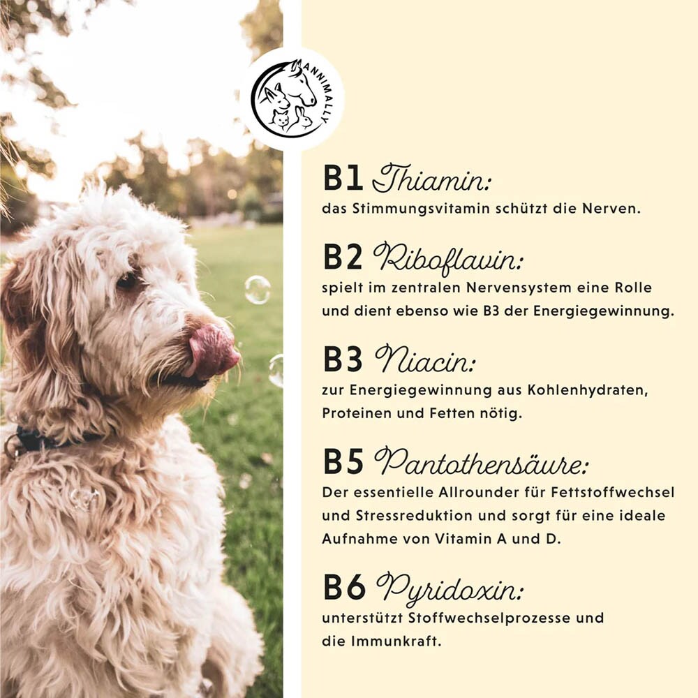 Annimally Vitamin B Komplex_3