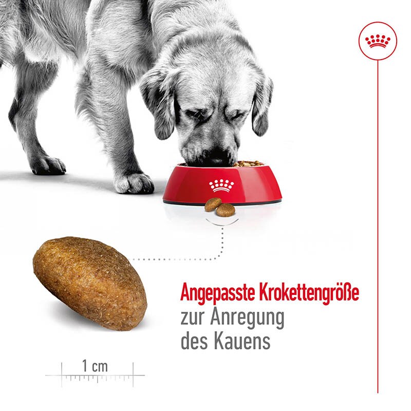 Royal Canin Maxi Adult Trockenfutter für große Hunde_2