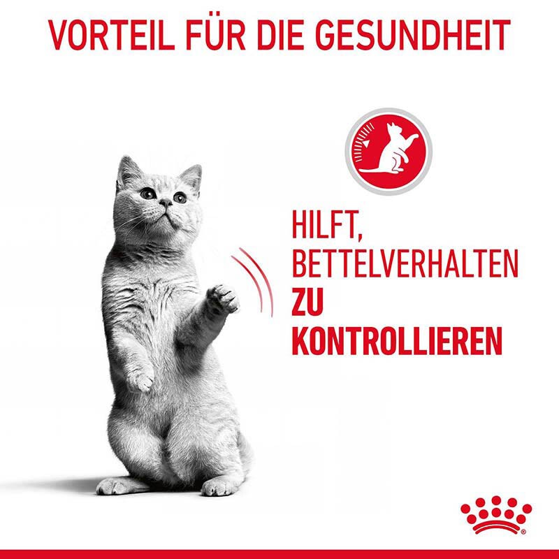 Royal Canin Appetite Control Care Nassfutter in Soße für erwachsene Katzen_2