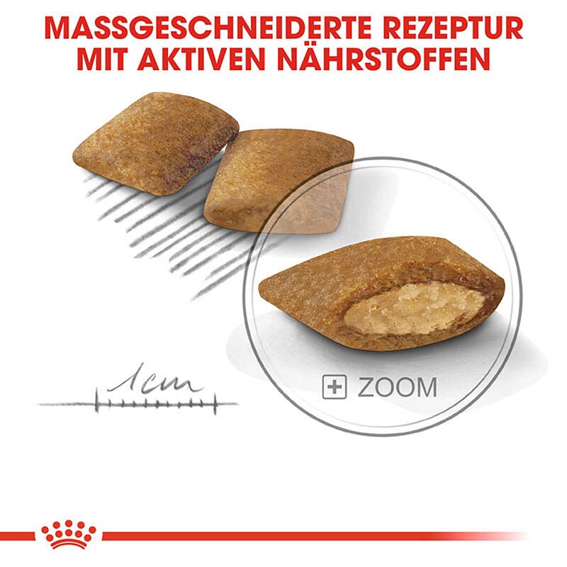 Royal Canin Exigent Mini Trockenfutter für wählerische kleine Hunde_3