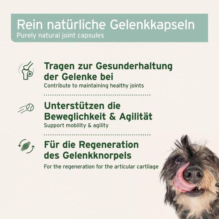 AniForte Grünlippmuschel Kapsel_4