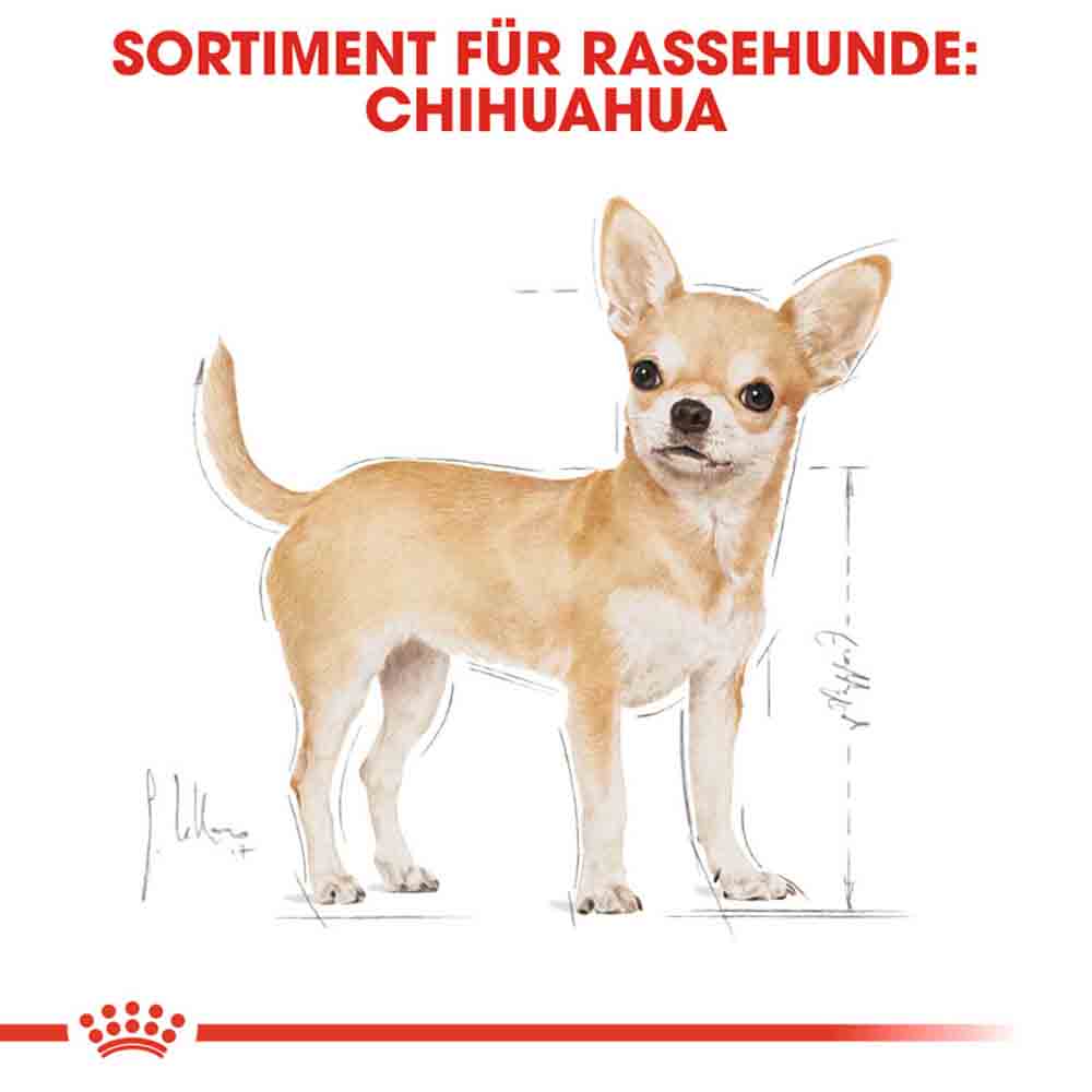 Royal Canin Chihuahua Adult Hundefutter trocken_2