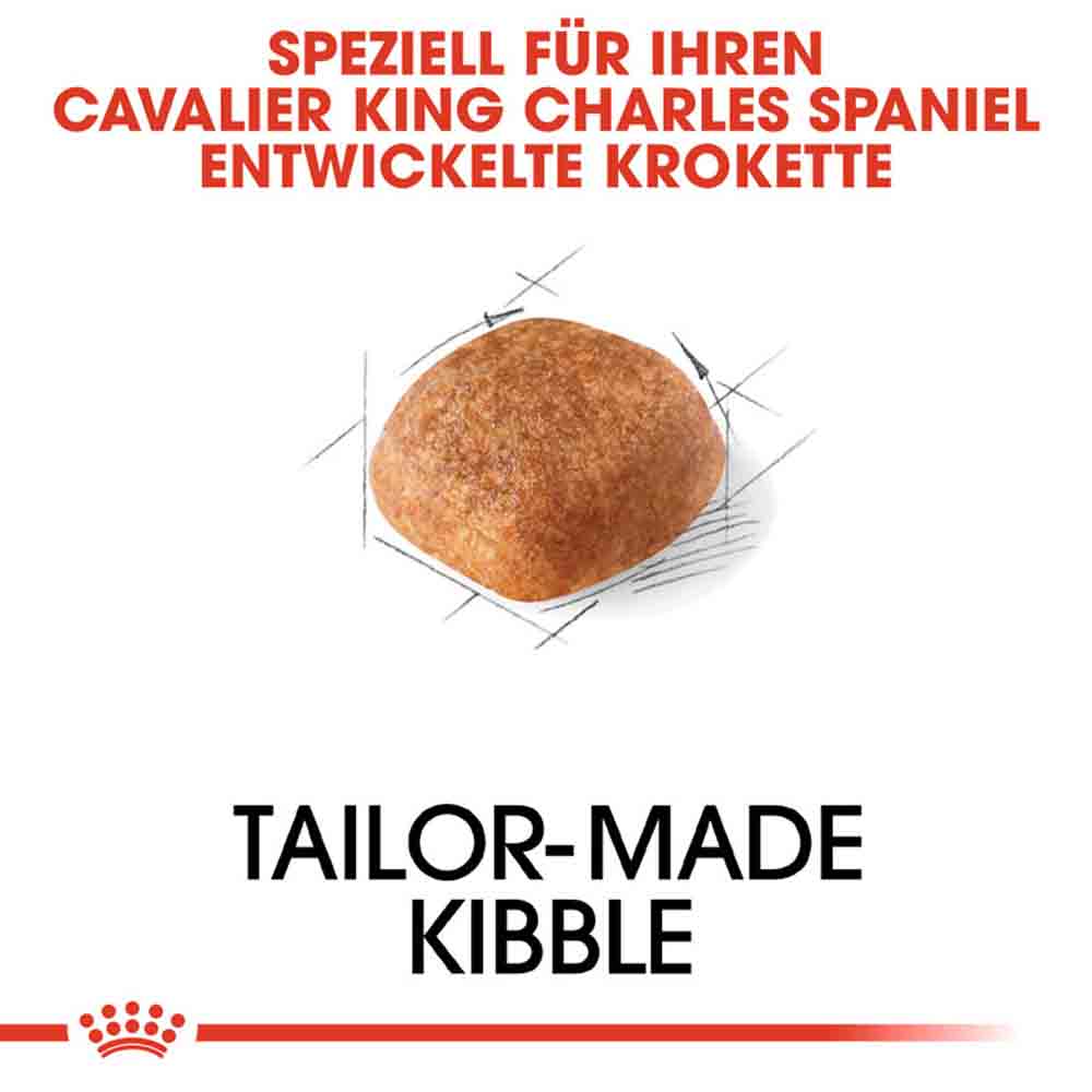 Royal Canin Cavalier King Charles Adult Hundefutter trocken_4