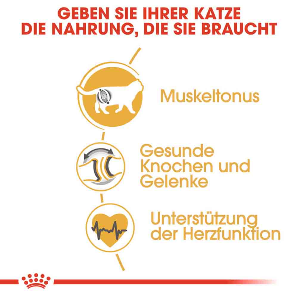 Royal Canin British Shorthair Katzenfutter trocken für Britisch Kurzhaar_3