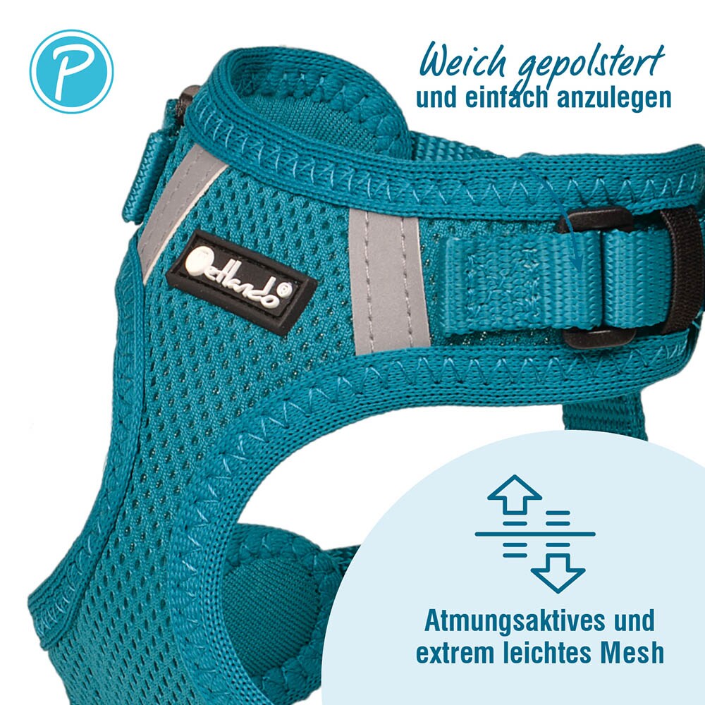 Petlando Mesh Vest Geschirr petrol_1