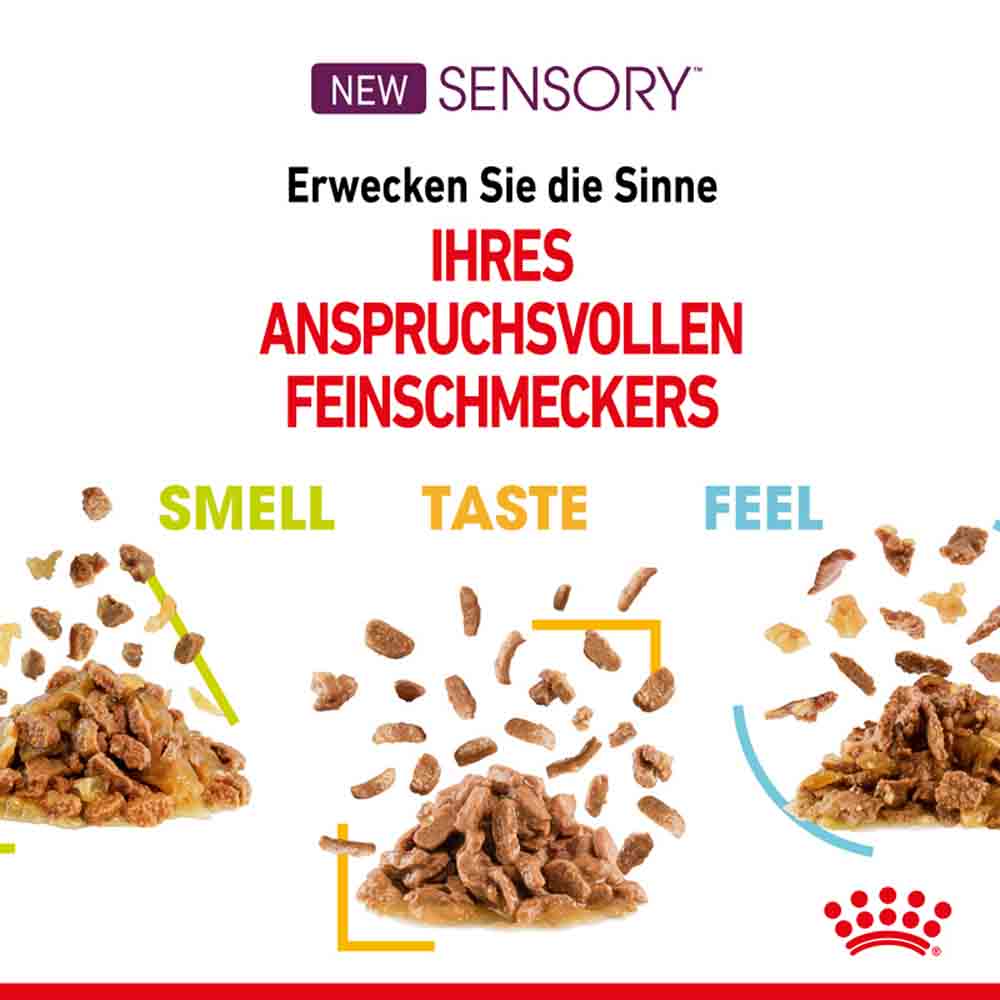Royal Canin Sensory Feel Nassfutter in Gelee für wählerische Katzen_3
