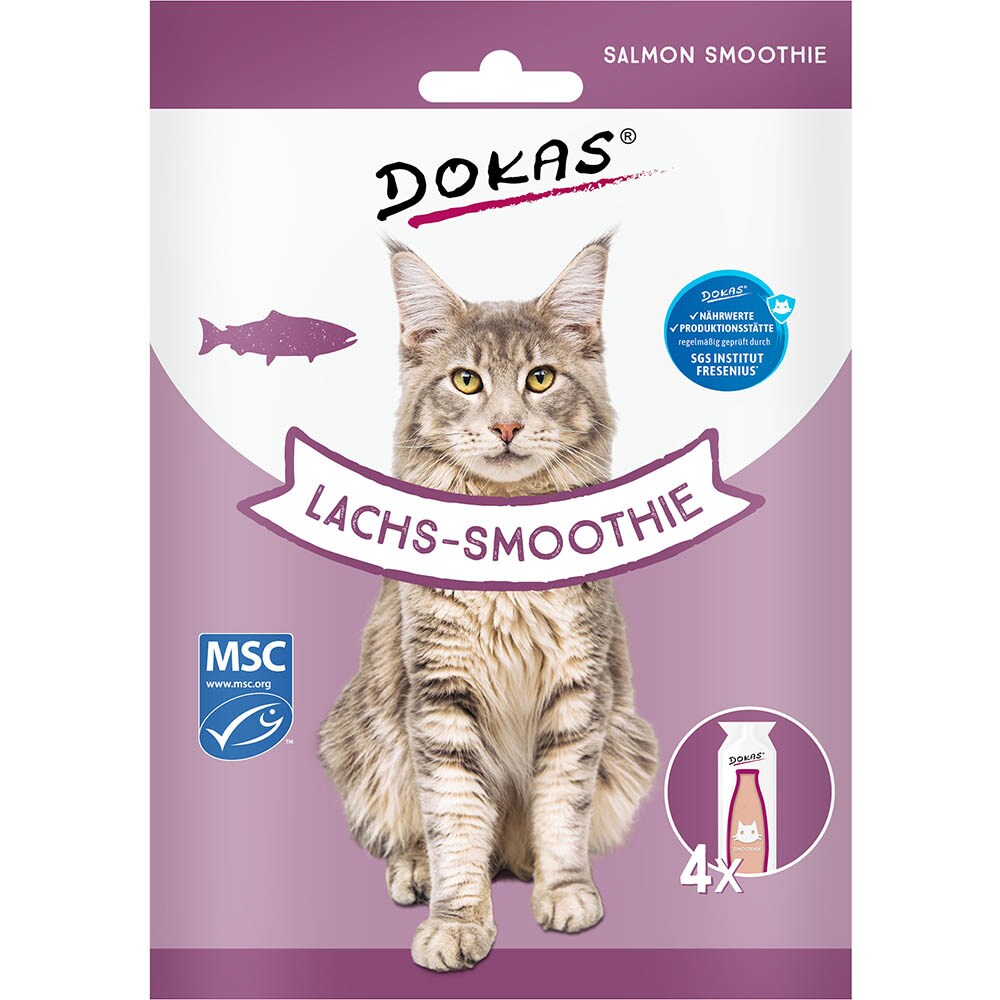 Dokas Lachs-Smoothie_0