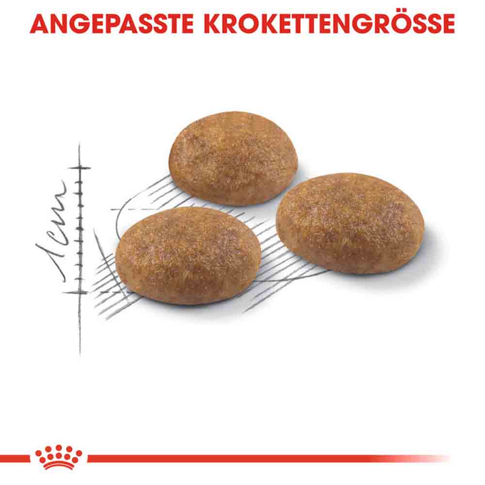 Royal Canin Outdoor Katzenfutter trocken für Freigänger_4