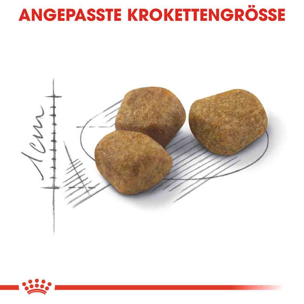 Royal Canin Indoor 7+ Trockenfutter für ältere Wohnungskatzen_4