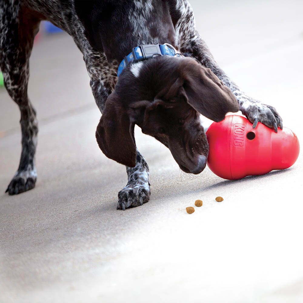 KONG Wobbler_1