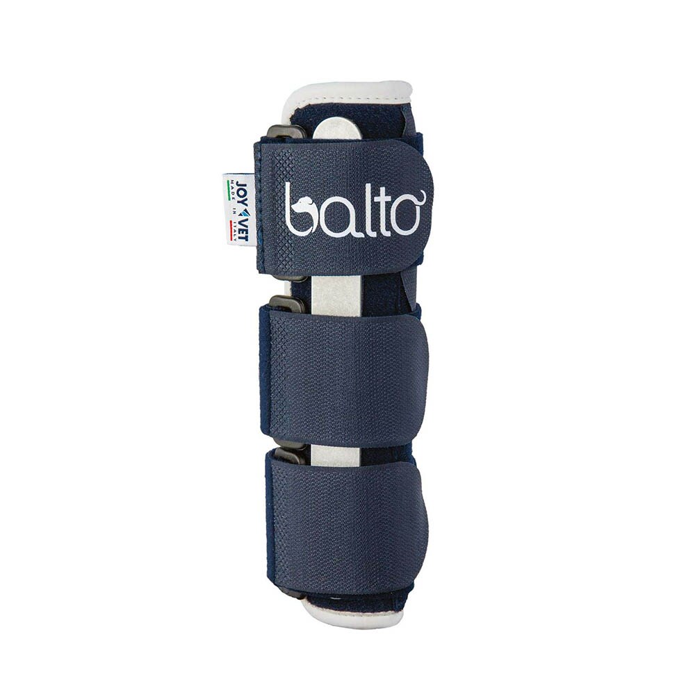 Balto Rehab-Orthese BT Bone_0