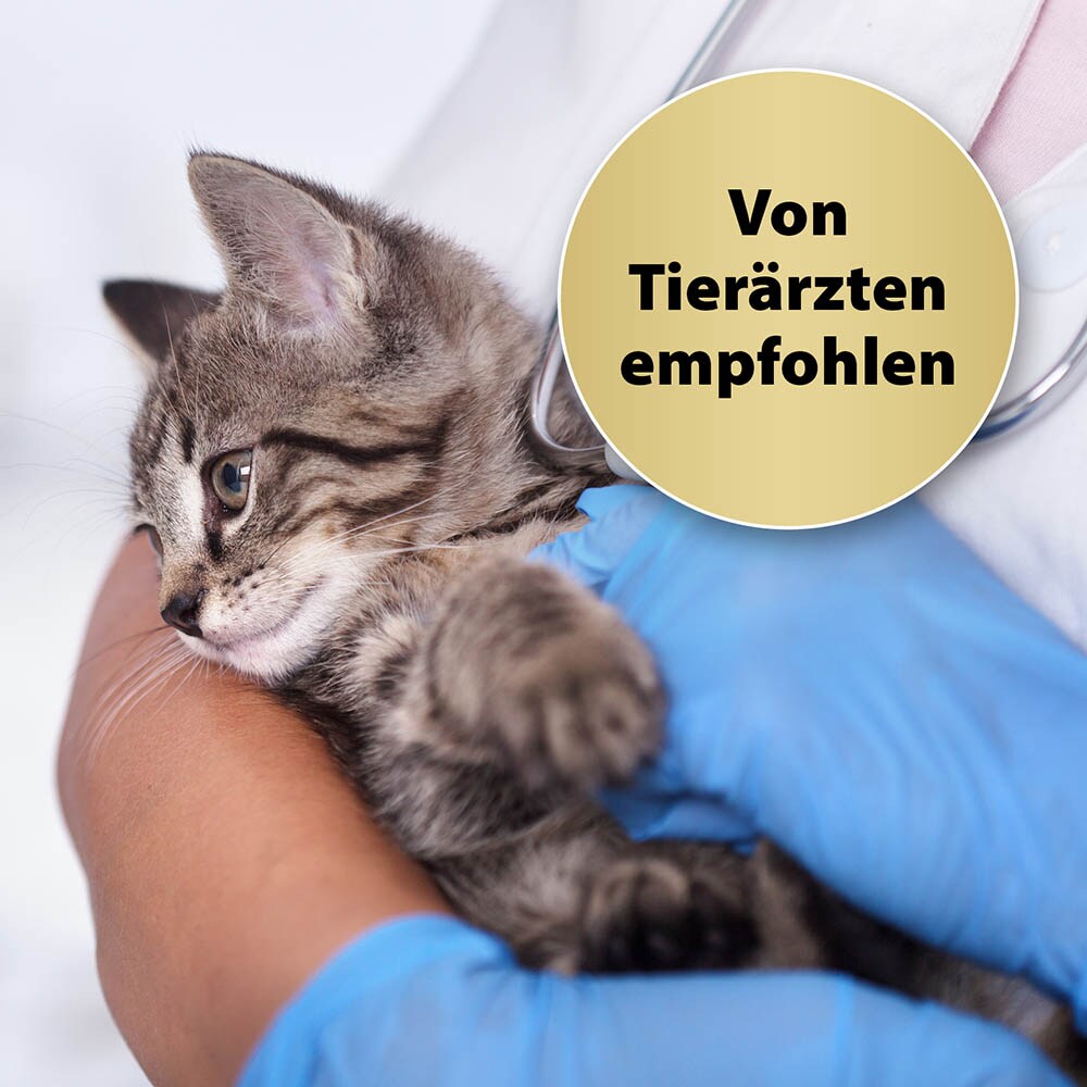 Felisept Home Comfort Beruhigungshalsband für Katzen_2
