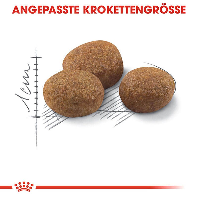 Royal Canin Sterilised 7+ Trockenfutter für ältere kastrierte Katzen_4