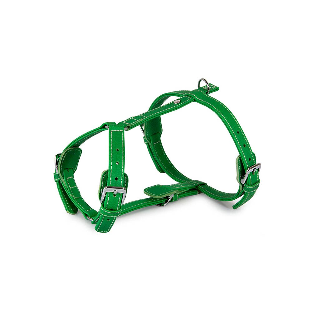 Das Lederband Barcelona Geschirr Summer-Green_0