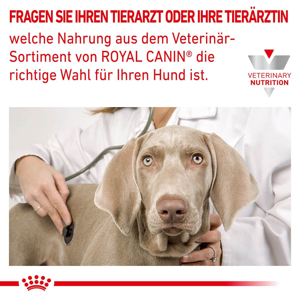 Royal Canin Veterinary Cardiac Nassfutter für Hunde_5