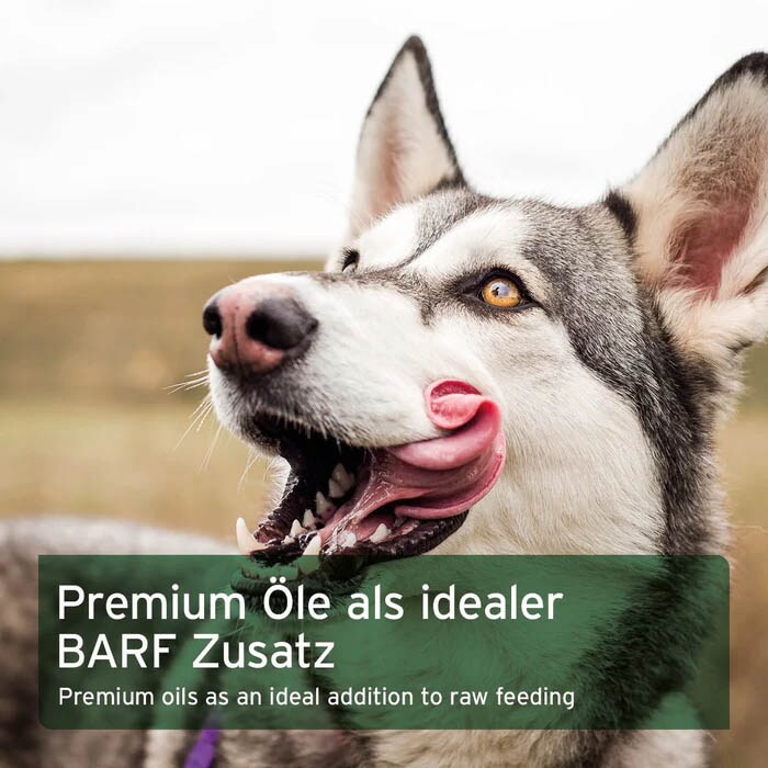 AniForte BARF-Line Premium Futteröl _3