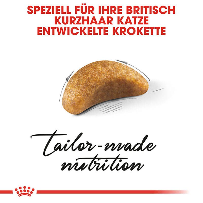 Royal Canin British Shorthair Kittenfutter trocken für BKH Kätzchen _5