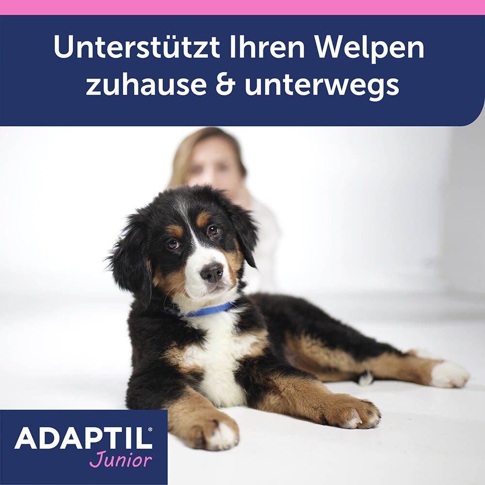 Adaptil Junior Halsband_1