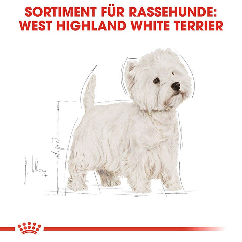 Royal Canin West Highland White Terrier Adult Hundefutter trocken_2