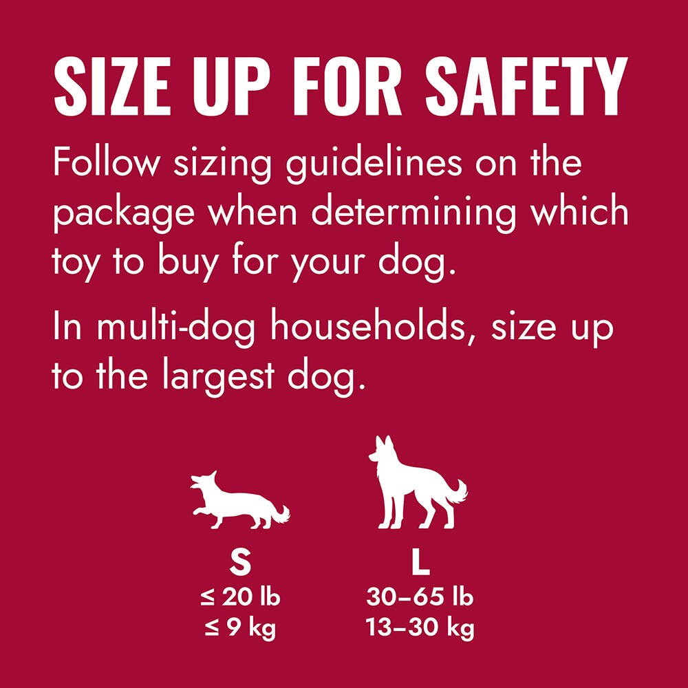 KONG Flyer_2