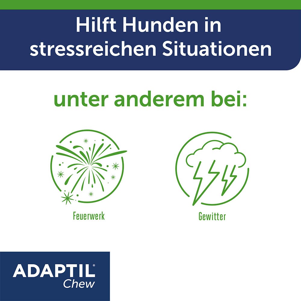 Adaptil Chew_3