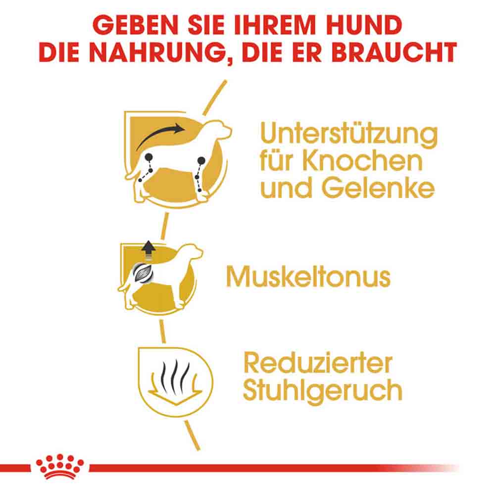 Royal Canin Dachshund Adult Hundefutter trocken_3