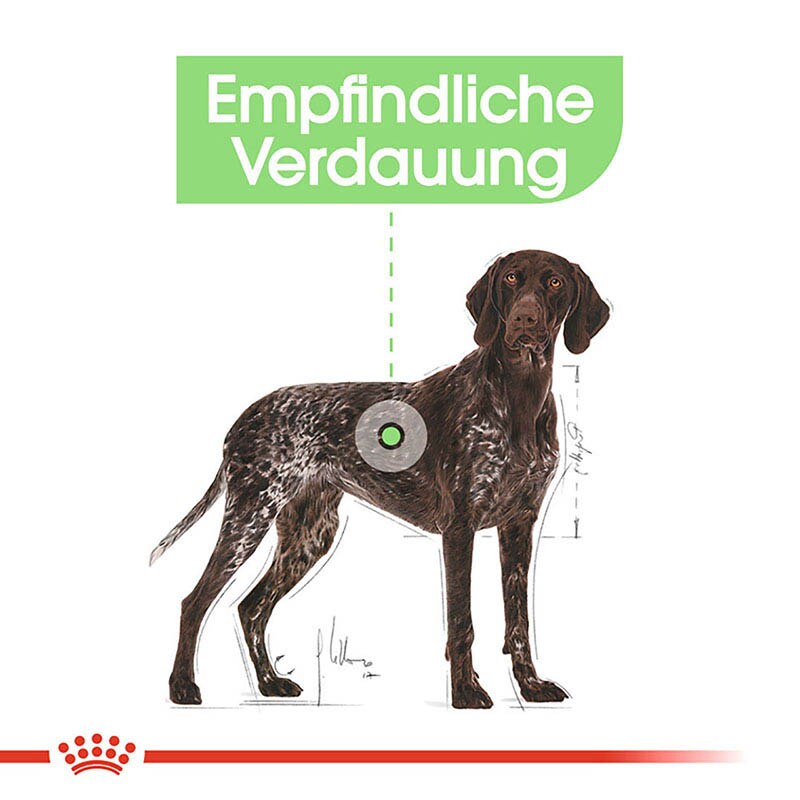 Royal Canin Digestive Care Maxi Trockenfutter für große Hunde mit empfindlicher Verdauung_2