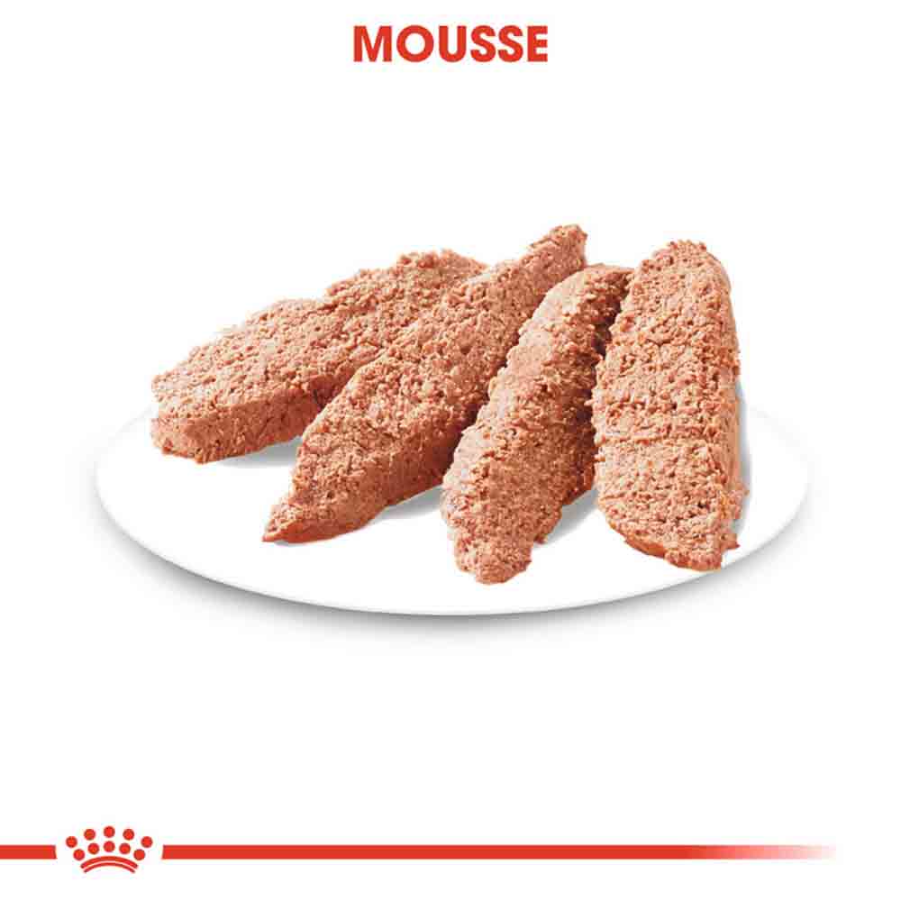 Royal Canin Digestive Care Nassfutter für Hunde mit empfindlicher Verdauung  _4