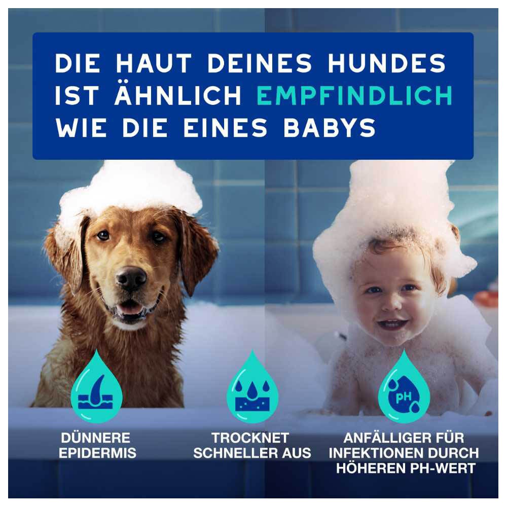 Douxo Spa Hundeshampoo gegen Geruch_2