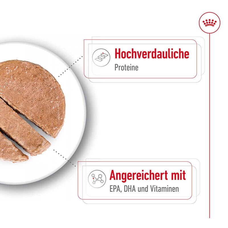 Royal Canin Maxi Ageing Feuchtnahrung als Mousse (>5. Lebensjahr)_2
