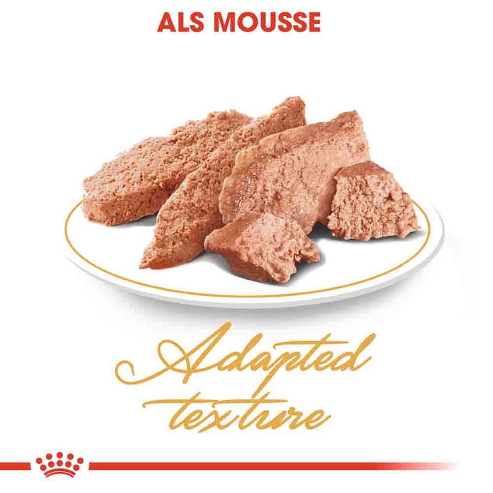 Royal Canin Persian Adult Katzenfutter nass für Perser-Katzen_4