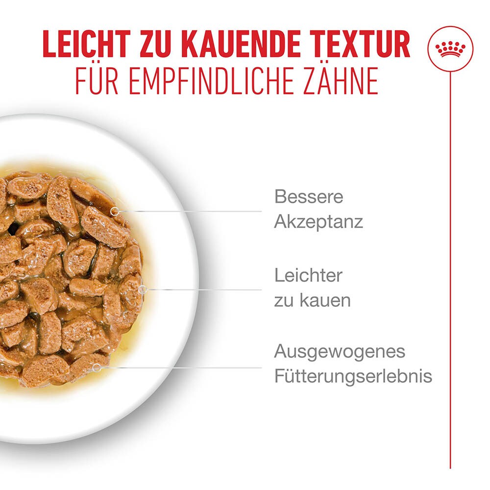 Royal Canin Ageing 11+ Feuchtnahrung in Soße für Senior Katzen ab dem 11. Lebensjahr_4