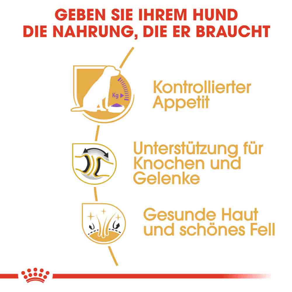 Royal Canin Labrador Retriever Adult Sterilised Trockenfutter für kastrierte Hunde_3