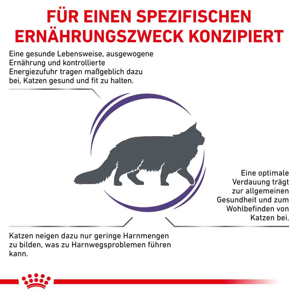Royal Canin Expert Adult Trockenfutter für Katzen _3